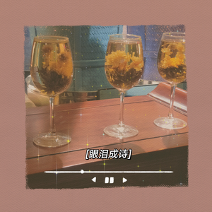 眼泪成诗（翻自周深&陈卓璇版）