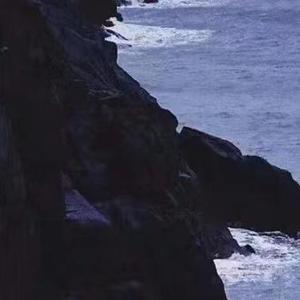 推开窗看见星星