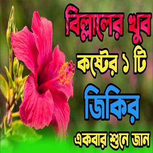 বিল্লালের মরণের সময় এক পাগলার ঘটনার জিকির _ একবার শুনে জান ভালো লাগবে _ খুব কষ্টের জিকির _New jikir