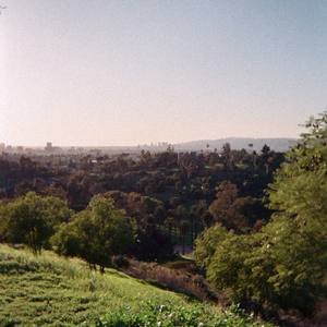 Rosemont