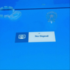 Мёртвый интернет