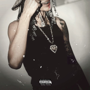 Freestyle de um Foragido