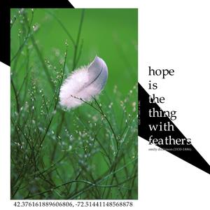 hope is the thing with feathers