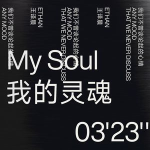 我的灵魂