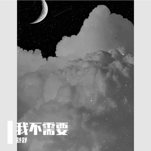 我不需要