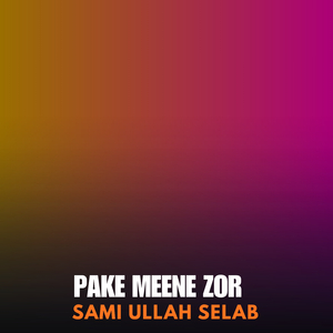 Pake Meene Zor