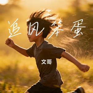 追风笨蛋
