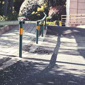 【洛天依、言和原创】顷刻之间的全部