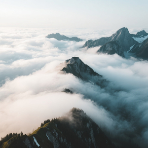 Takut Menatapmu Lagi