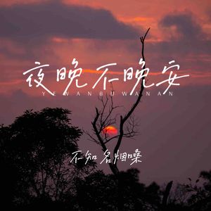 夜晚不晚安