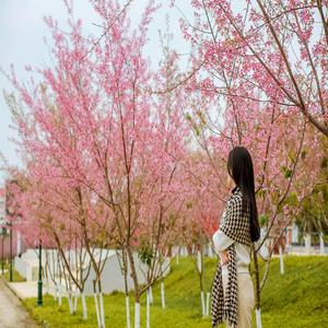 Close my eyes and listen to your soft lullaby