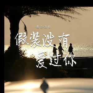假装没有爱过你