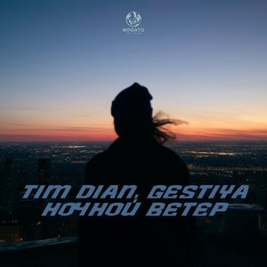 Ночной Ветер