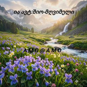 ია#ავტ:შიო-მღვიმელი