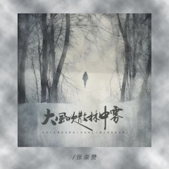 大风吹散林中雾 (DJ默涵版)
