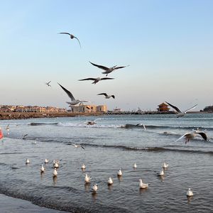 晚风落日海边的爱