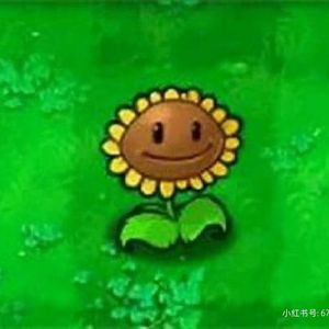 GRASSWALK 植物大战僵尸