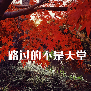 路过的不是天堂