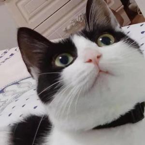 缘分一道桥纯女声伴奏（翻自 王力宏&谭维维）