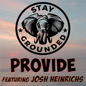 Provide (feat. Josh Heinrichs)