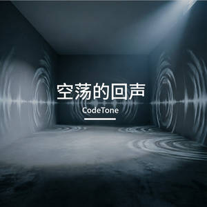 空荡的回声