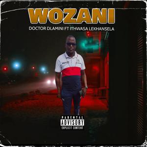 DR DLAMINI (feat. ITHWASA LEKHANSELA)