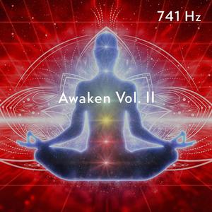 Chakra Foundation (741 Hz)