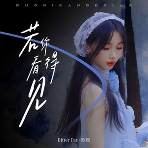 若你看得见 （伴奏）