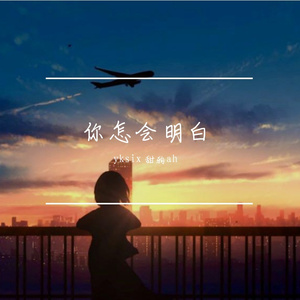 你怎会明白