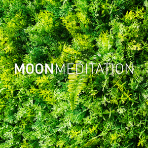 चाँदनी वायलिन