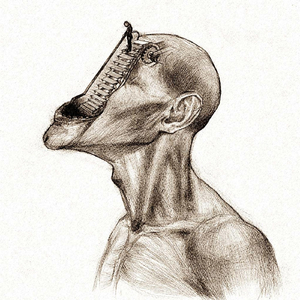 Non-Organic Amygdala