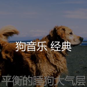有趣训练犬情怀