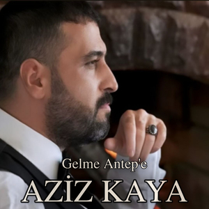 Gelme Antep'e