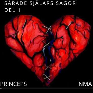 Missbrukets Destruktiva Konsekvens