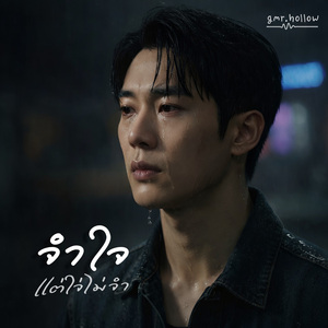 จำใจแต่ใจไม่จำ
