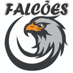 Falcões