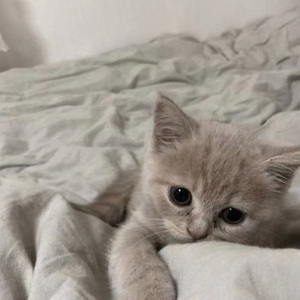 未说出口的晚安