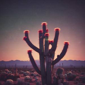 Octopushed by @andyplaystyle