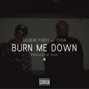 Burn Me Down (feat. Tyga & Raak)