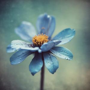 Touching Hearts by Persephone[⁠-⁠_⁠-⁠]💜🧡💛💚💙🤎