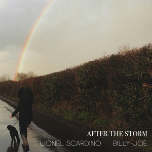 After the Storm