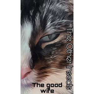 Kemptown in the rain