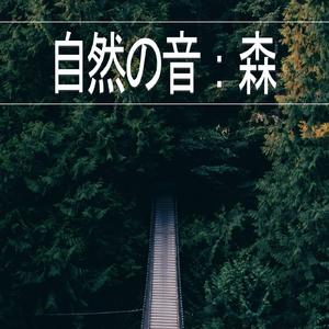 自然の音：森、パート26