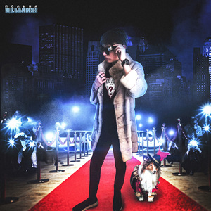 Дизайнерский малли