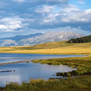 《Synthwave Echoes in the Unboxing Memory》035