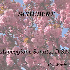 Schubert: Arpeggione Sonata, D.821: I. Allegro moderato