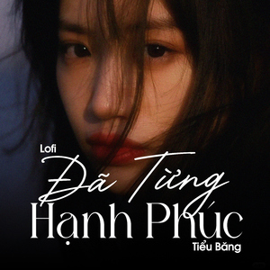 Đã Từng Hạnh Phúc (Lofi)