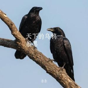 天下的乌鸦一般黑 (Cover 小炎同学)