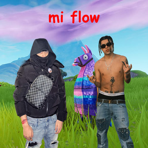 Mi Flow