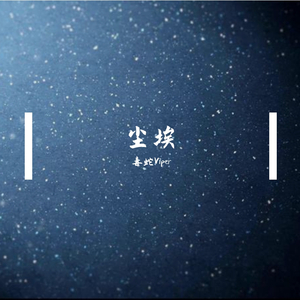 尘埃